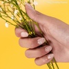 image:imageHeyhae Semi Cured Gel Nail Strips  Hey Freshly Picked
