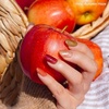 image:imageHeyhae Semi Cured Gel Nail Strips  Hey Love BlossomHey  Autumn Haze